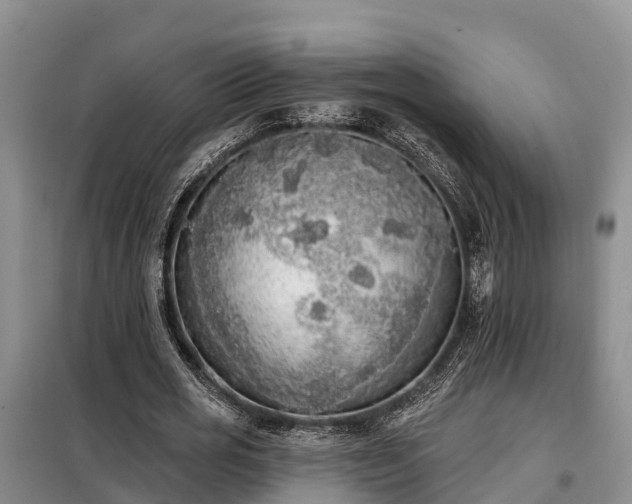 X0000099300725200805090953