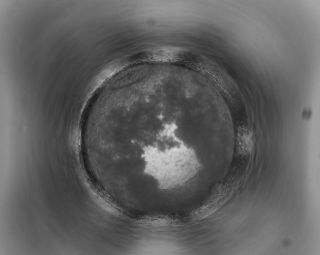 X0000099300726200805090953