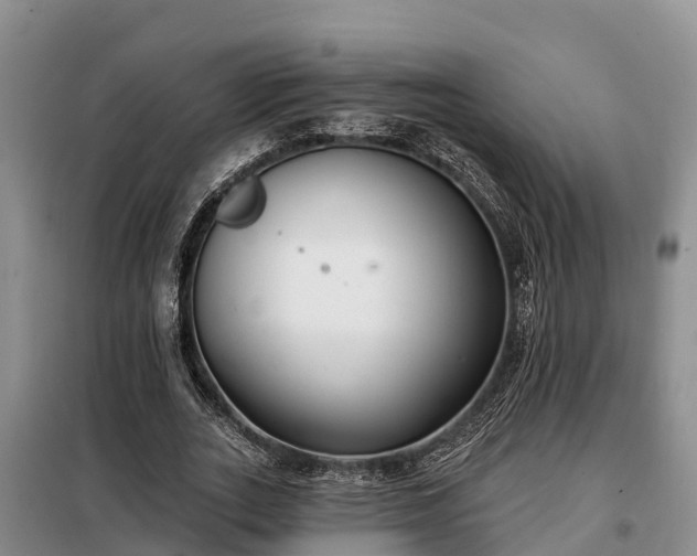 X0000099300727200805090953