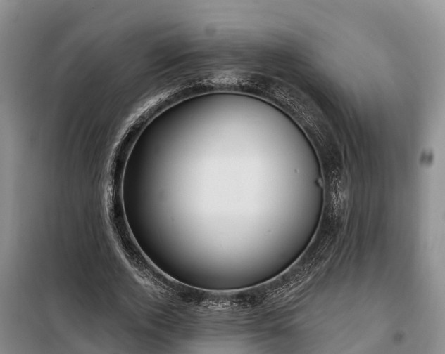 X0000099300728200805090953