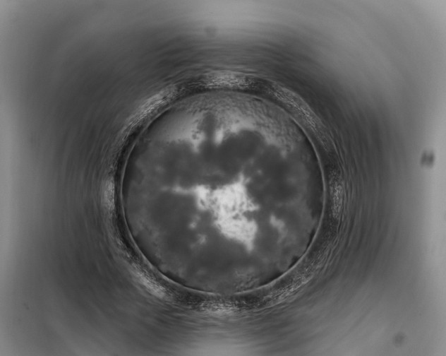 X0000099300729200805090953