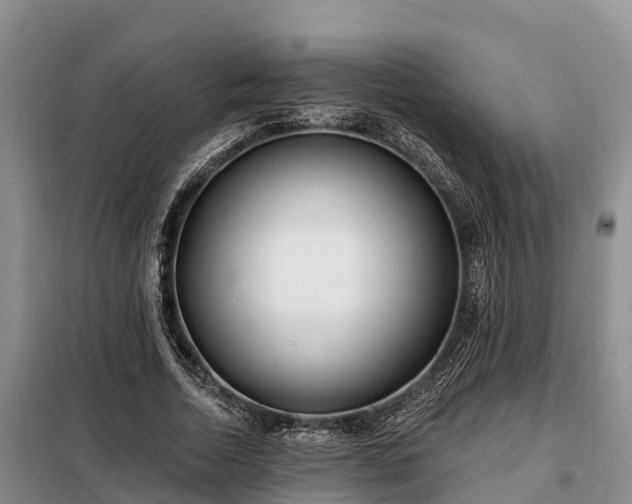 X0000099300730200805090953