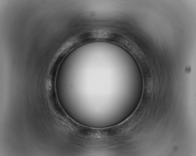 X0000099300731200805090953