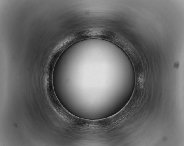 X0000099300732200805090953