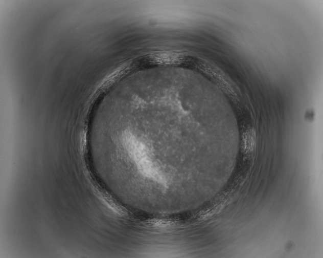 X0000099300733200805090953