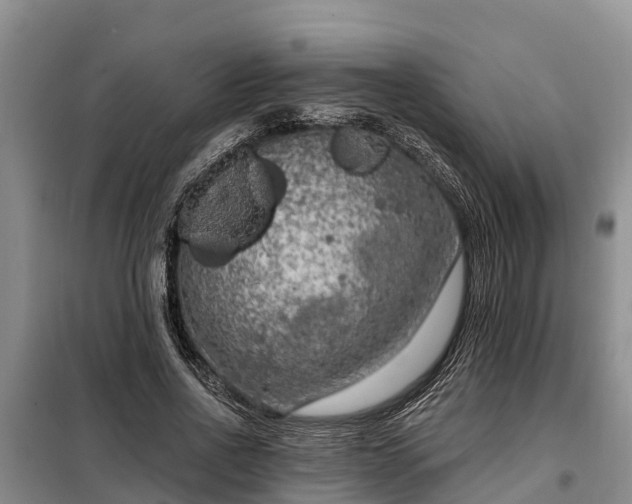 X0000099300734200805090953