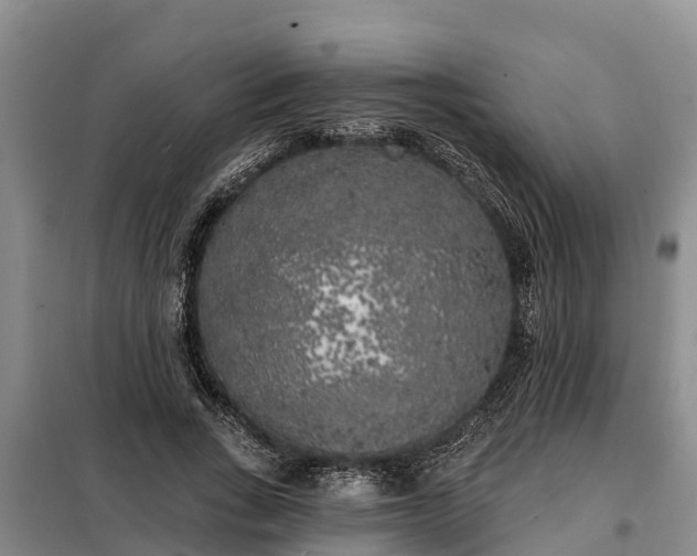 X0000099300735200805090953