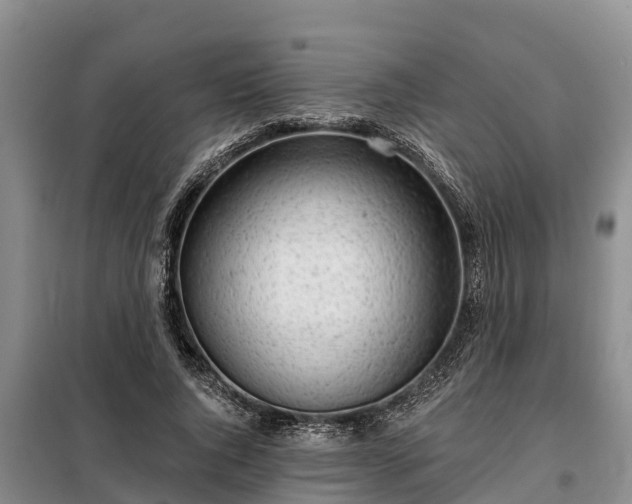 X0000099300736200805090953