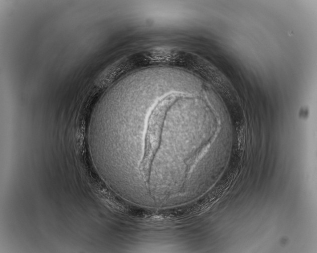 X0000099300737200805090953