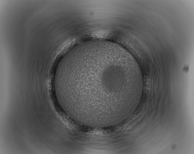 X0000099300738200805090953