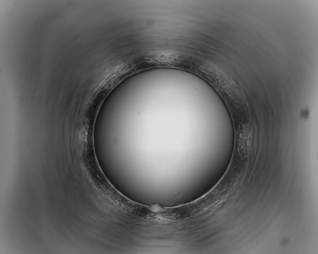 X0000099300739200805090953