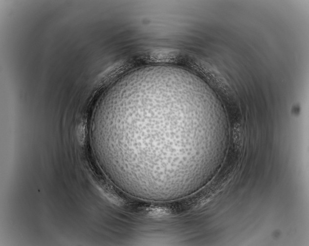 X0000099300741200805090954