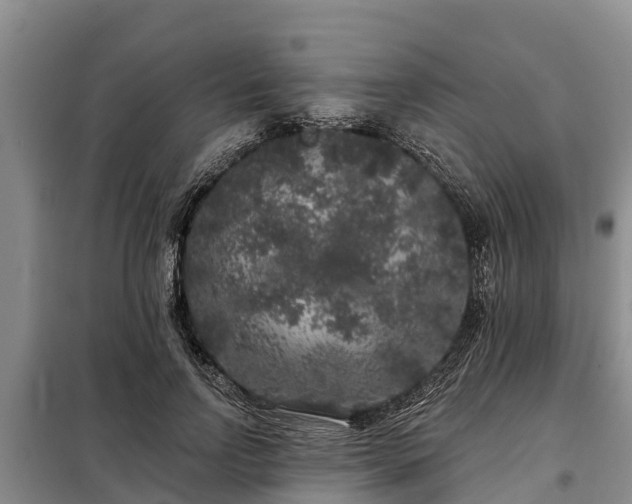 X0000099300742200805090954