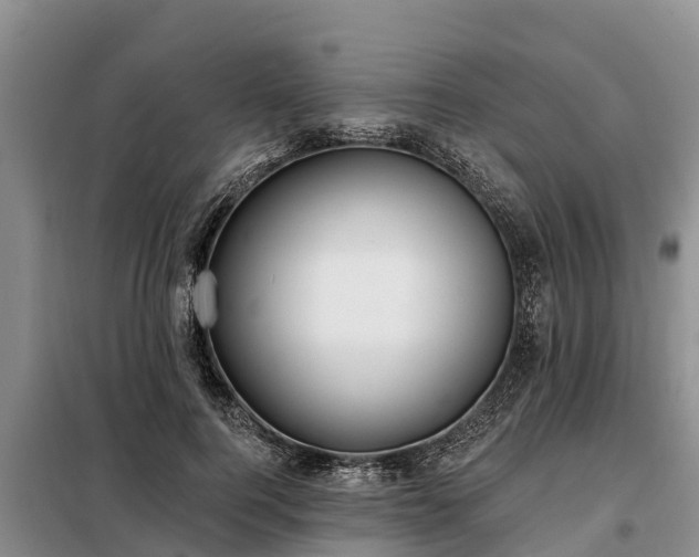 X0000099300744200805090954