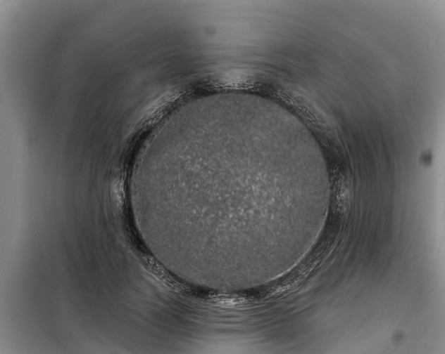 X0000099300746200805090954