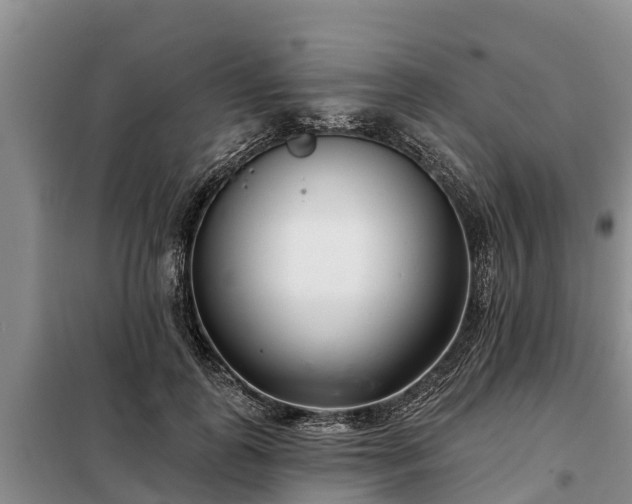 X0000099300747200805090954