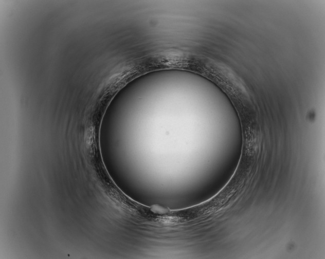 X0000099300748200805090954