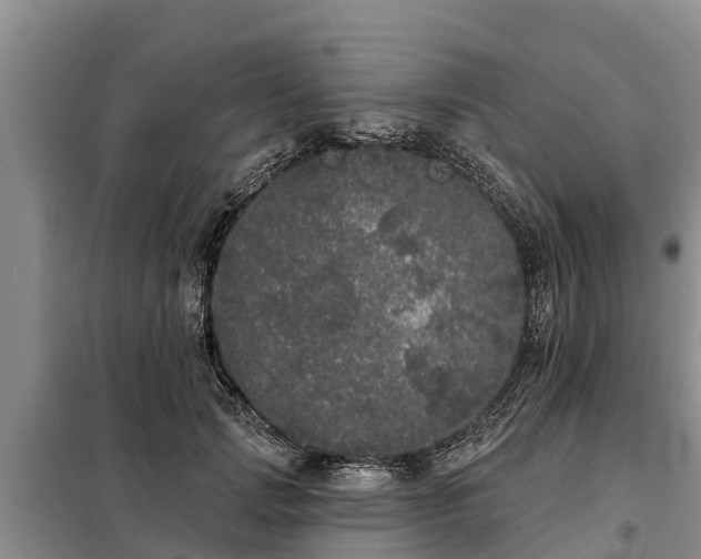 X0000099300749200805090954