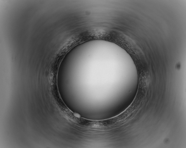 X0000099300750200805090954