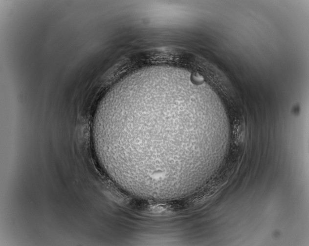 X0000099300753200805090954