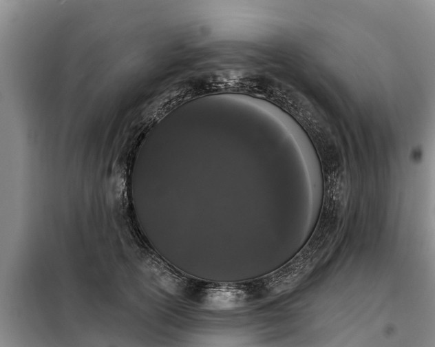 X0000099300754200805090954