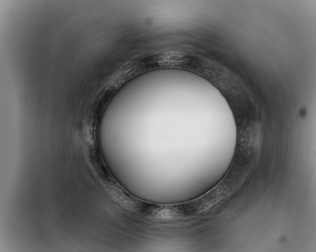 X0000099300755200805090954