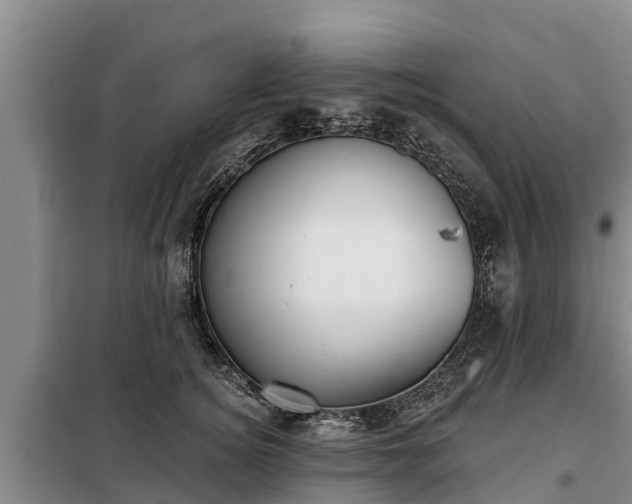 X0000099300756200805090954