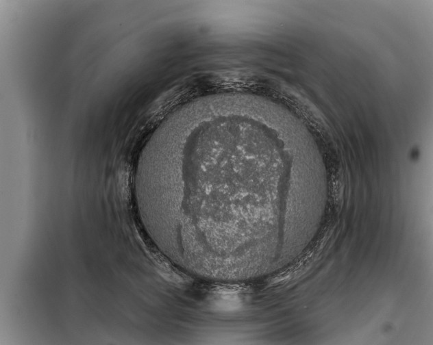 X0000099300757200805090954