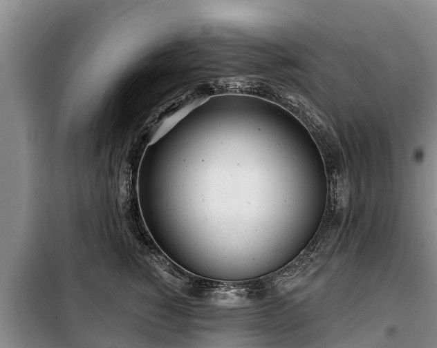 X0000099300760200805090954