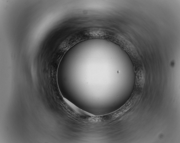 X0000099300762200805090954