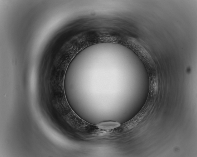 X0000099300764200805090954