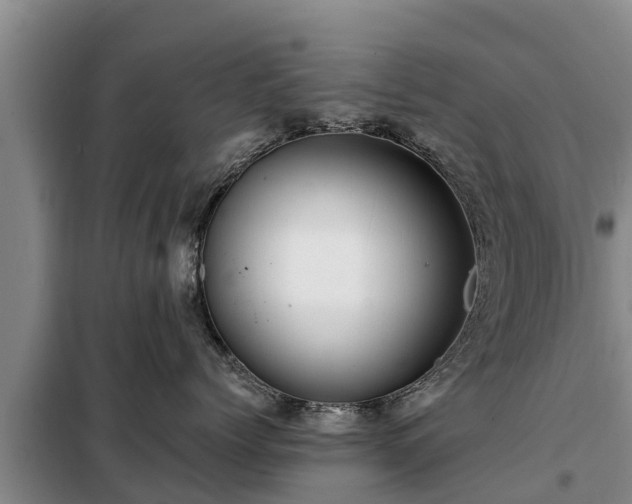 X0000099300768200805090954