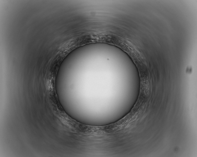 X0000099300770200805090953