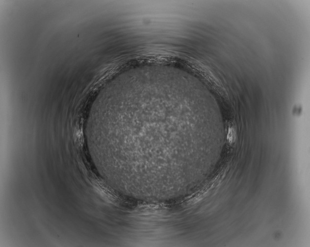 X0000099300771200805090953