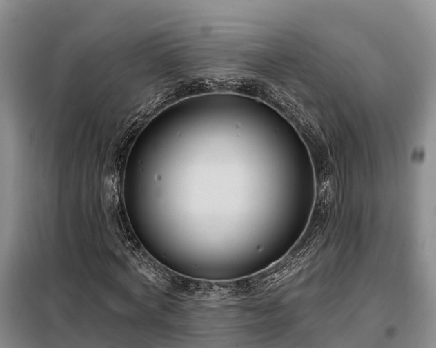 X0000099300772200805090953