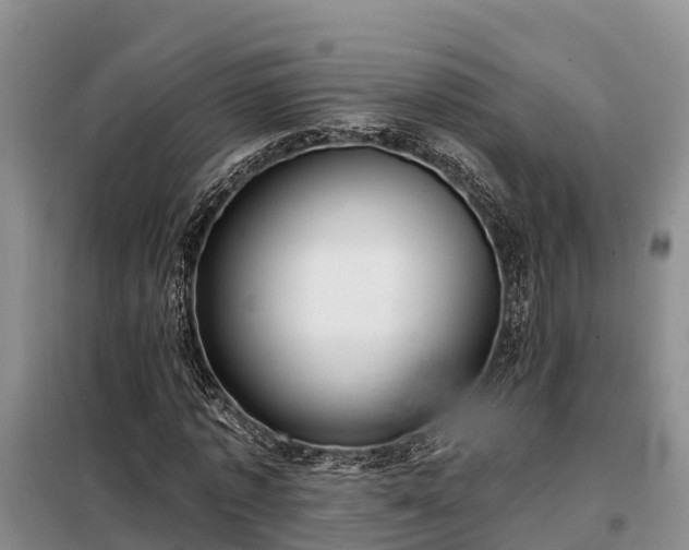 X0000099300773200805090953