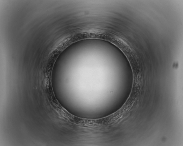 X0000099300774200805090953