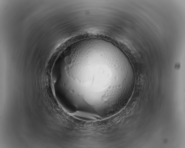 X0000099300776200805090953