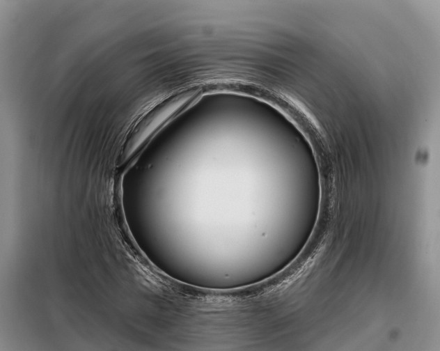 X0000099300777200805090953