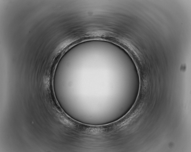 X0000099300778200805090953