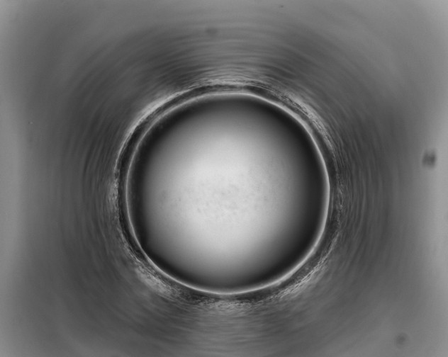 X0000099300779200805090953