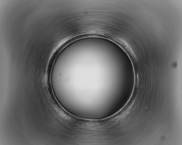 X0000099300780200805090953