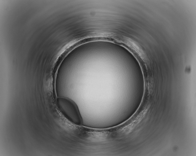 X0000099300781200805090953