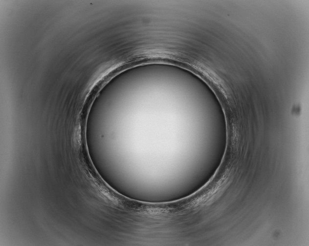 X0000099300782200805090953