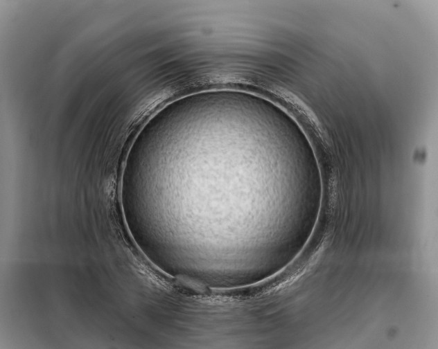 X0000099300785200805090953