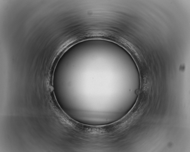 X0000099300786200805090953