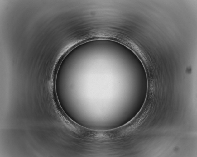 X0000099300787200805090953