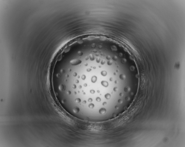 X0000099300788200805090953