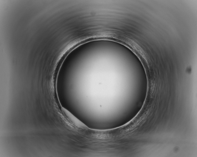 X0000099300789200805090953