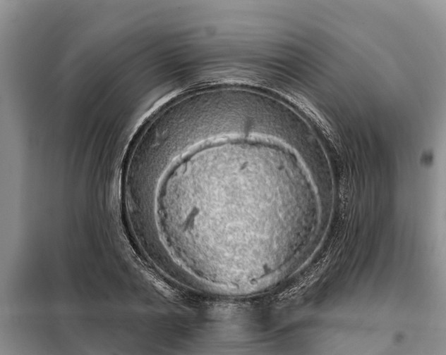 X0000099300790200805090953